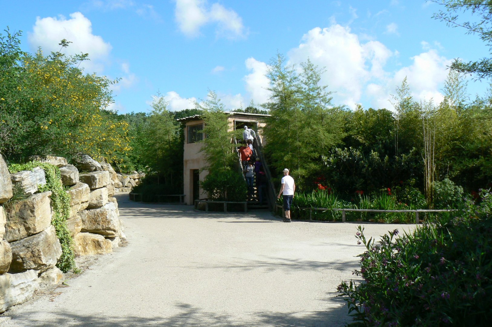 Le Pal - Sumatran tigers exhibit viewing point