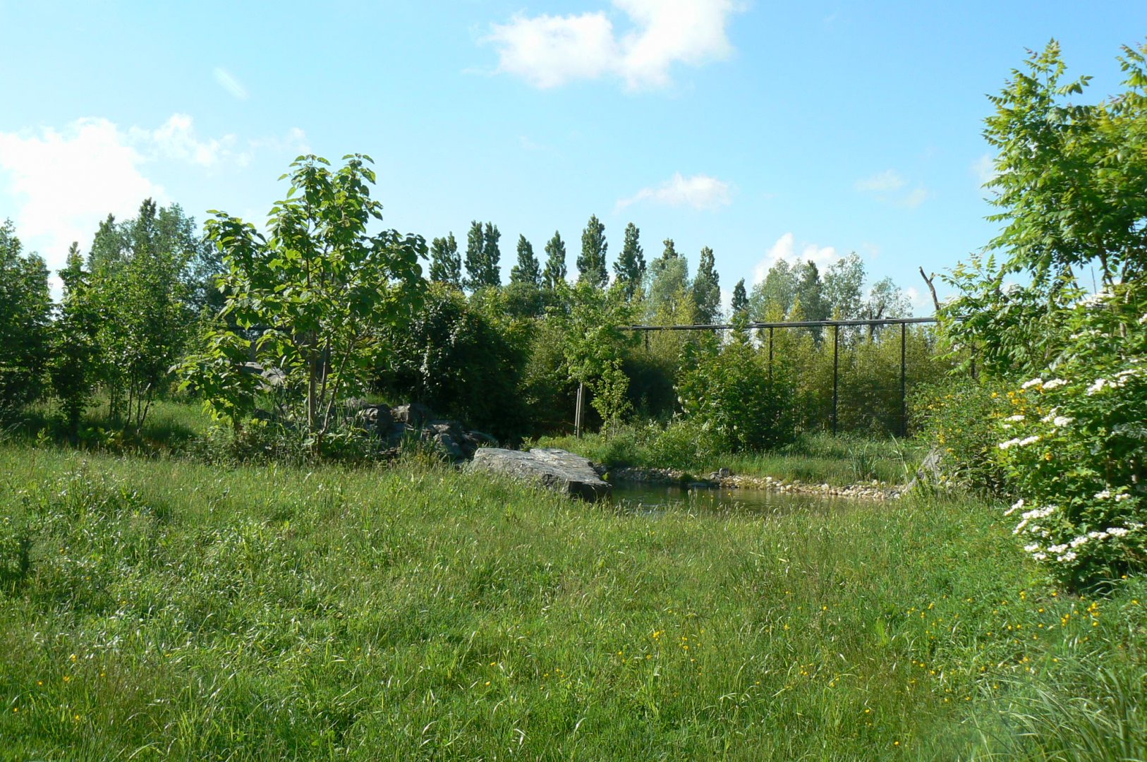 Le Pal - Sumatran tigers exhibit