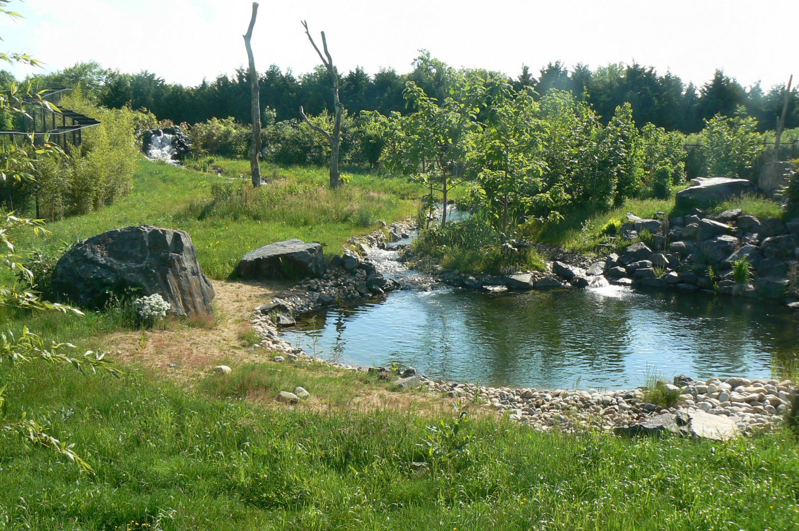 Le Pal - Sumatran tigers exhibit