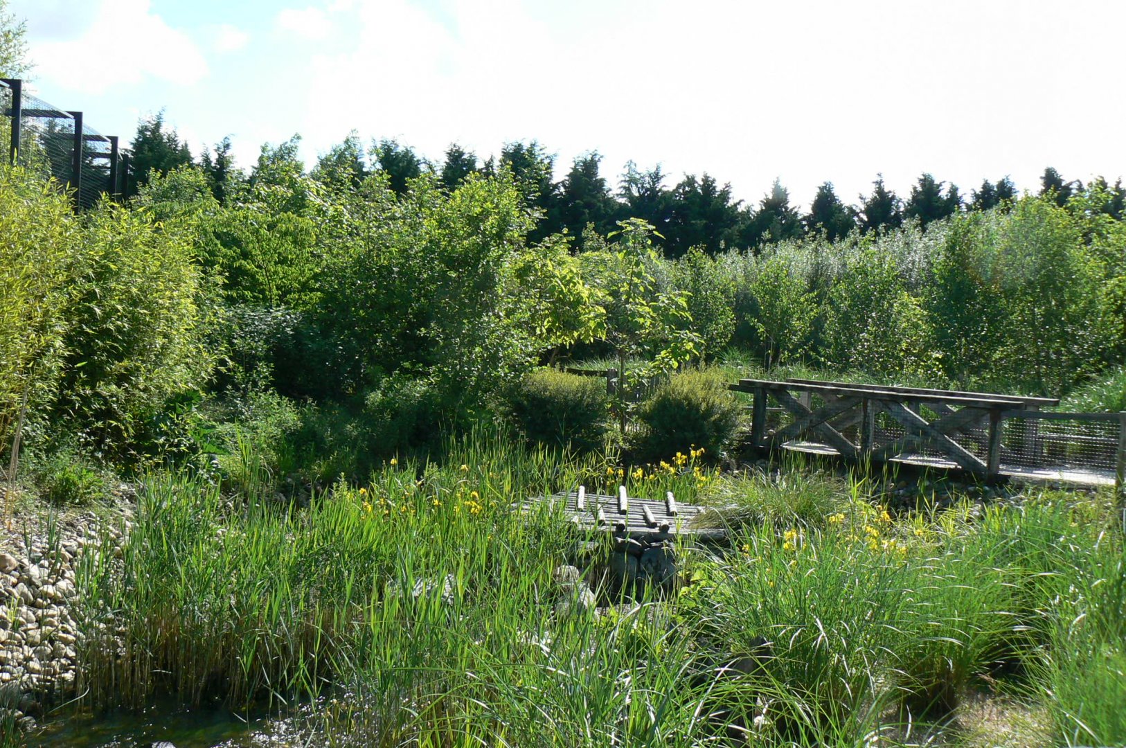 Le Pal - Sumatran tigers exhibit's natural edges
