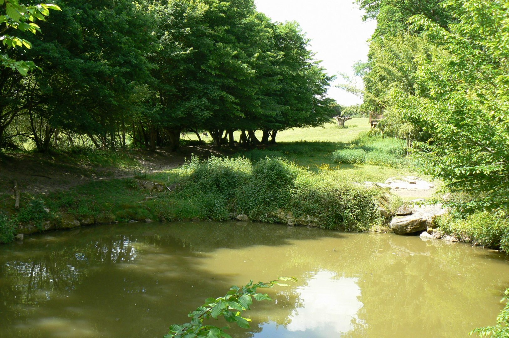 Le Pal - Water hole, pârt of the african plain