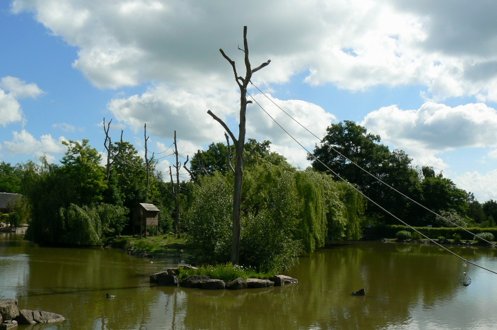 Le Pal - White-handed gibbons island