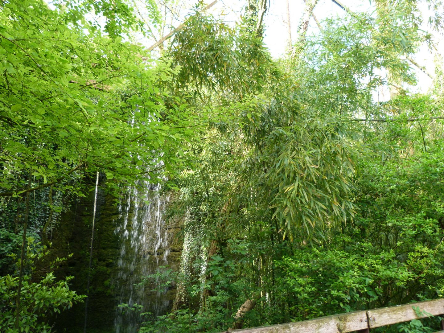 "Le Sanctuaire des okapis" view -Bioparc de Doué la Fontaine (2025)