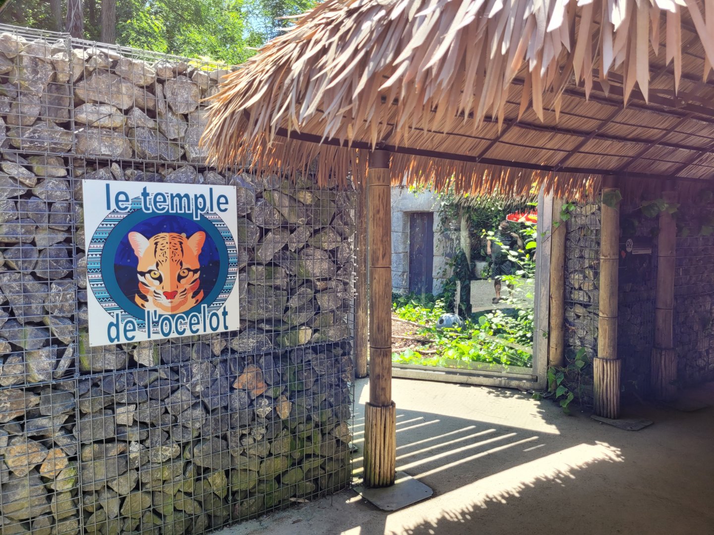 "Le Temple de l'Ocelot" area -Zoo d'Asson (2022)