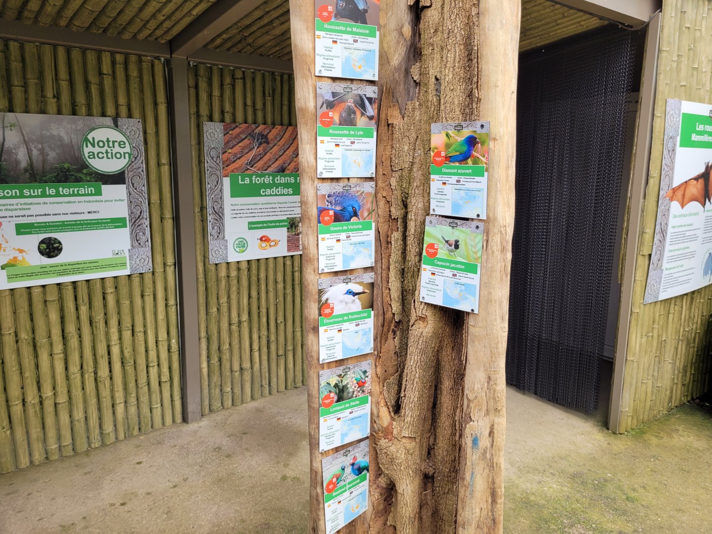 "Le Temple Perdu" free-roaming species -Zoo d'Asson (2022)