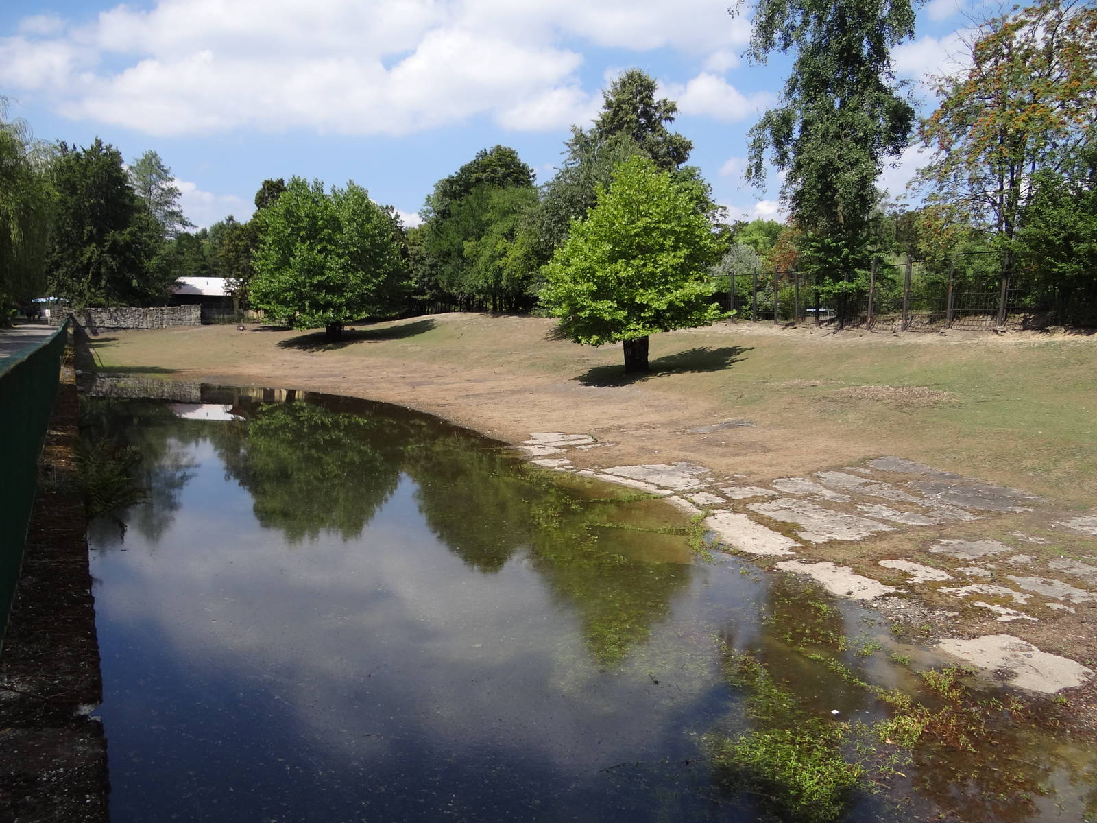 Leachwe Waterbuck paddock