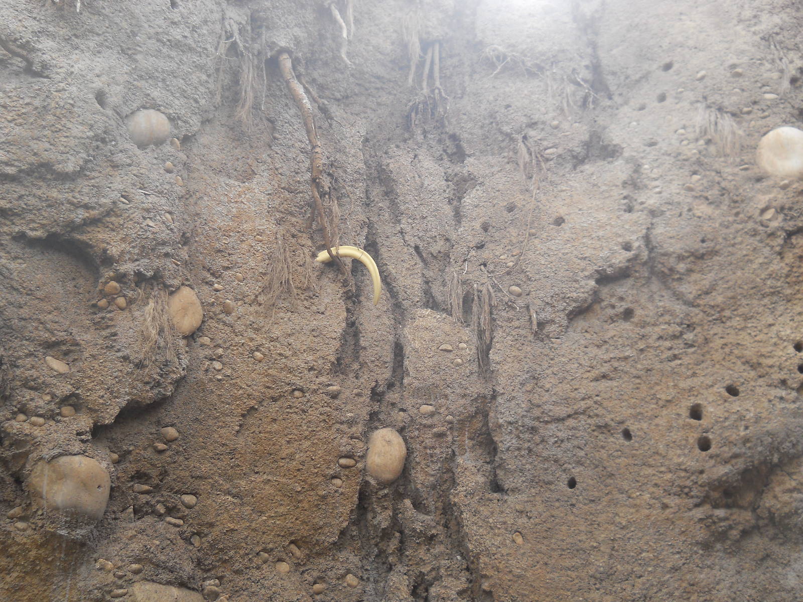 Leading to the lion exhibit