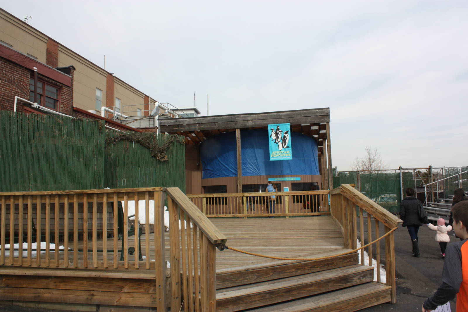 Leading Up to the Penguin Exhibit