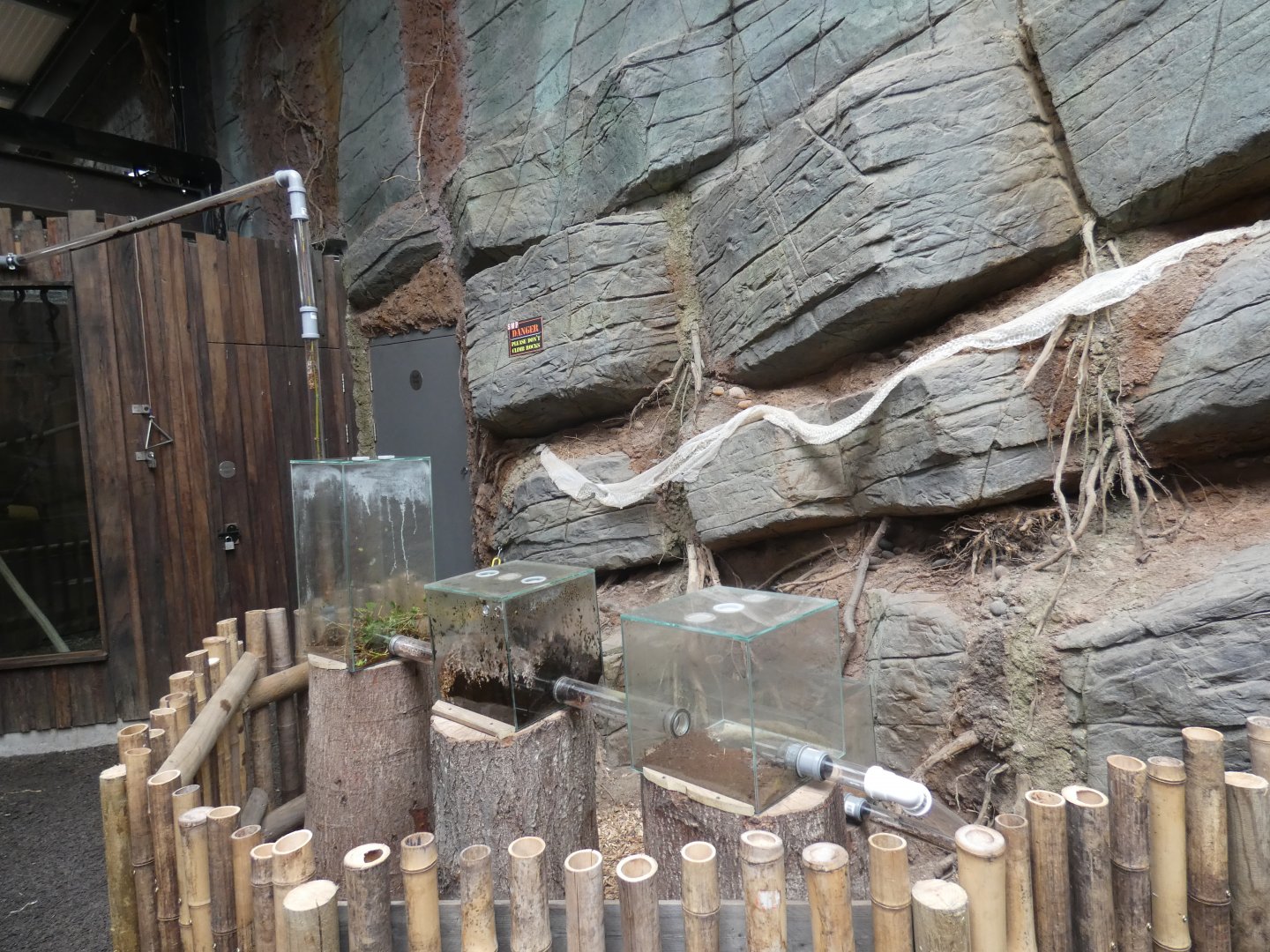 Leaf-cutter Ant enclosure