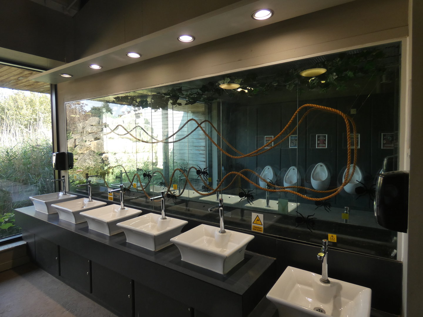 Leaf-cutter ant enclosure