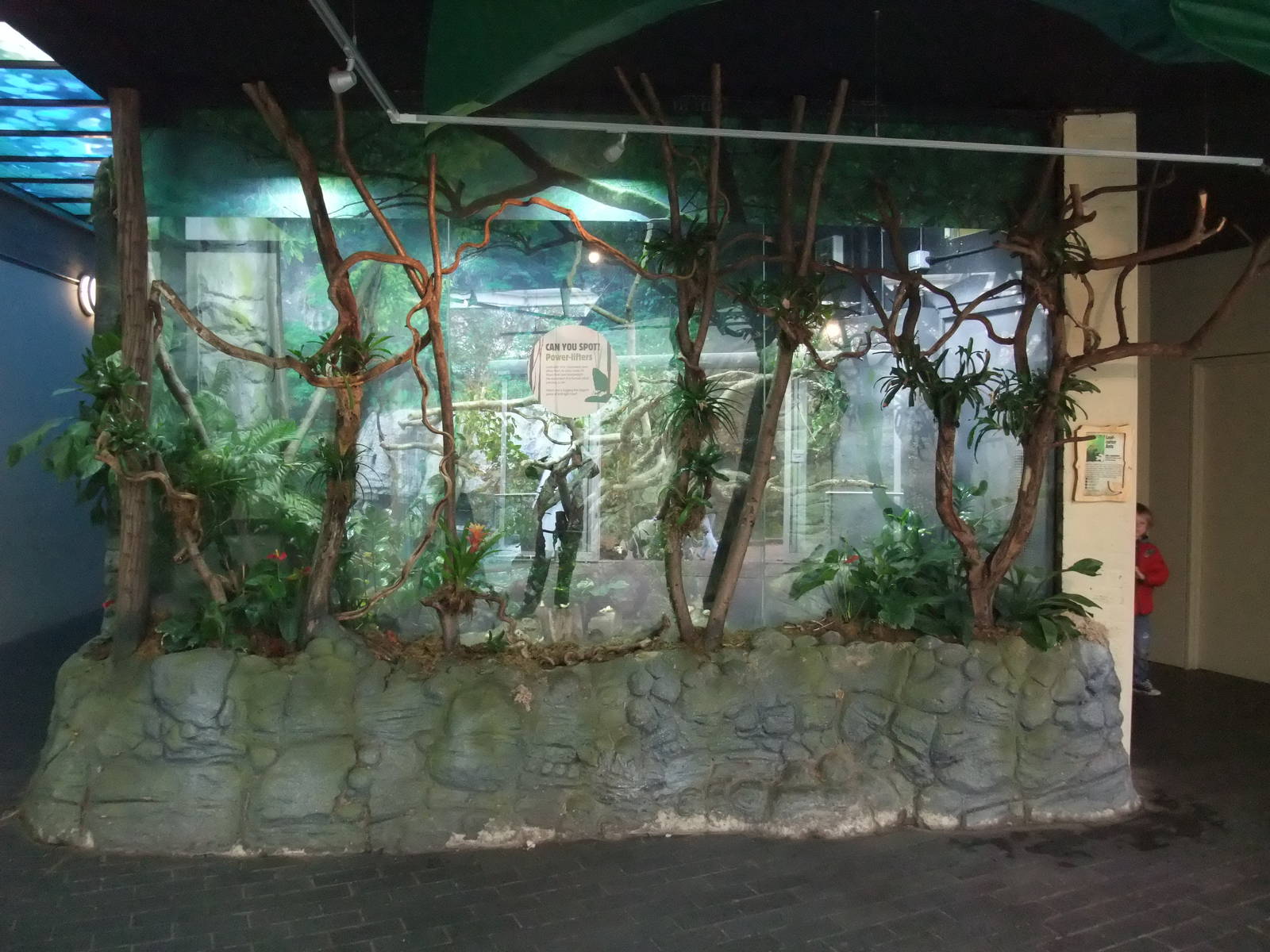 Leaf-cutter Ant Exhibit at London, 16/11/11