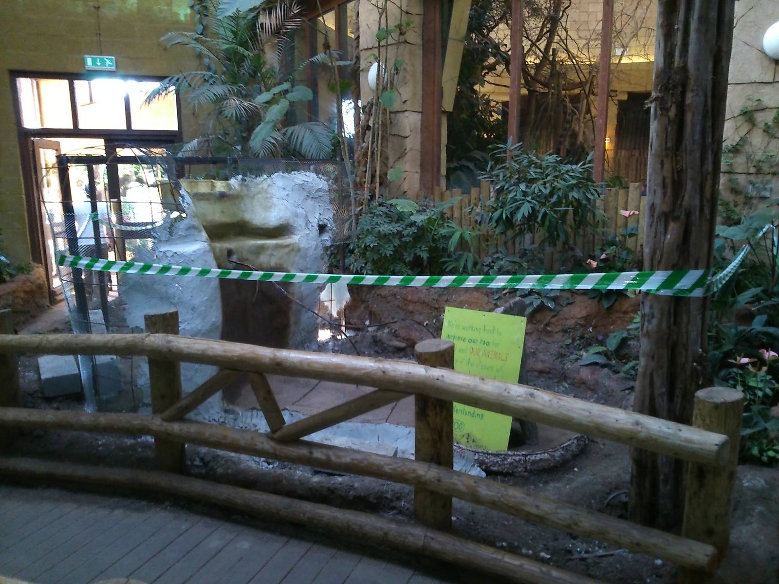 Leaf-Cutter Ant exhibit construction 16/03/14