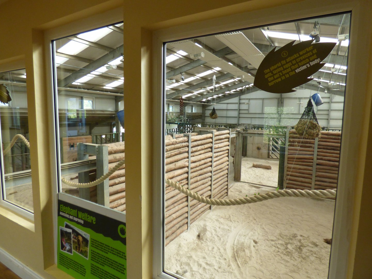 Leaf-cutter Ant Exhibit in Elephant Indoor Viewing Area