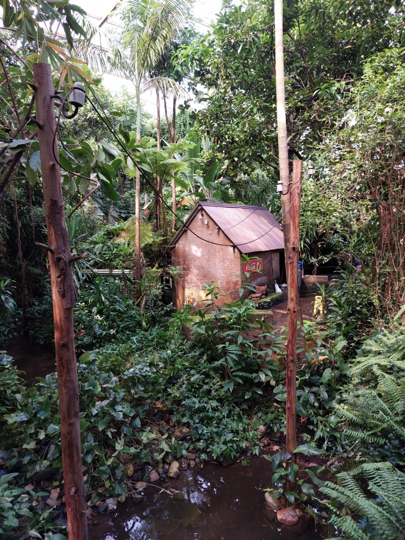 Leaf cutter ant exhibit on poles