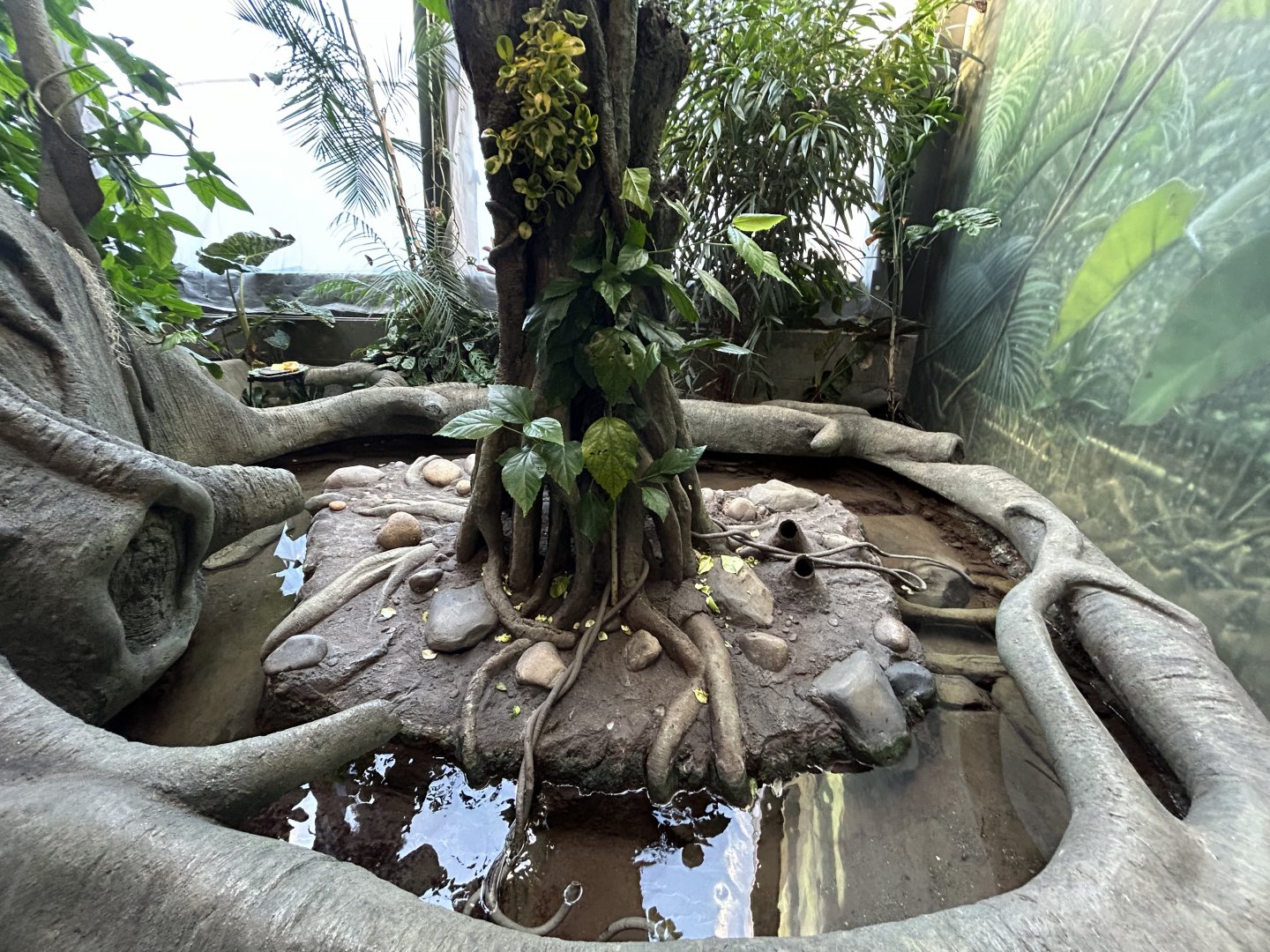 Leaf-cutter Ant Exhibit - Wildlife Explorers Basecamp