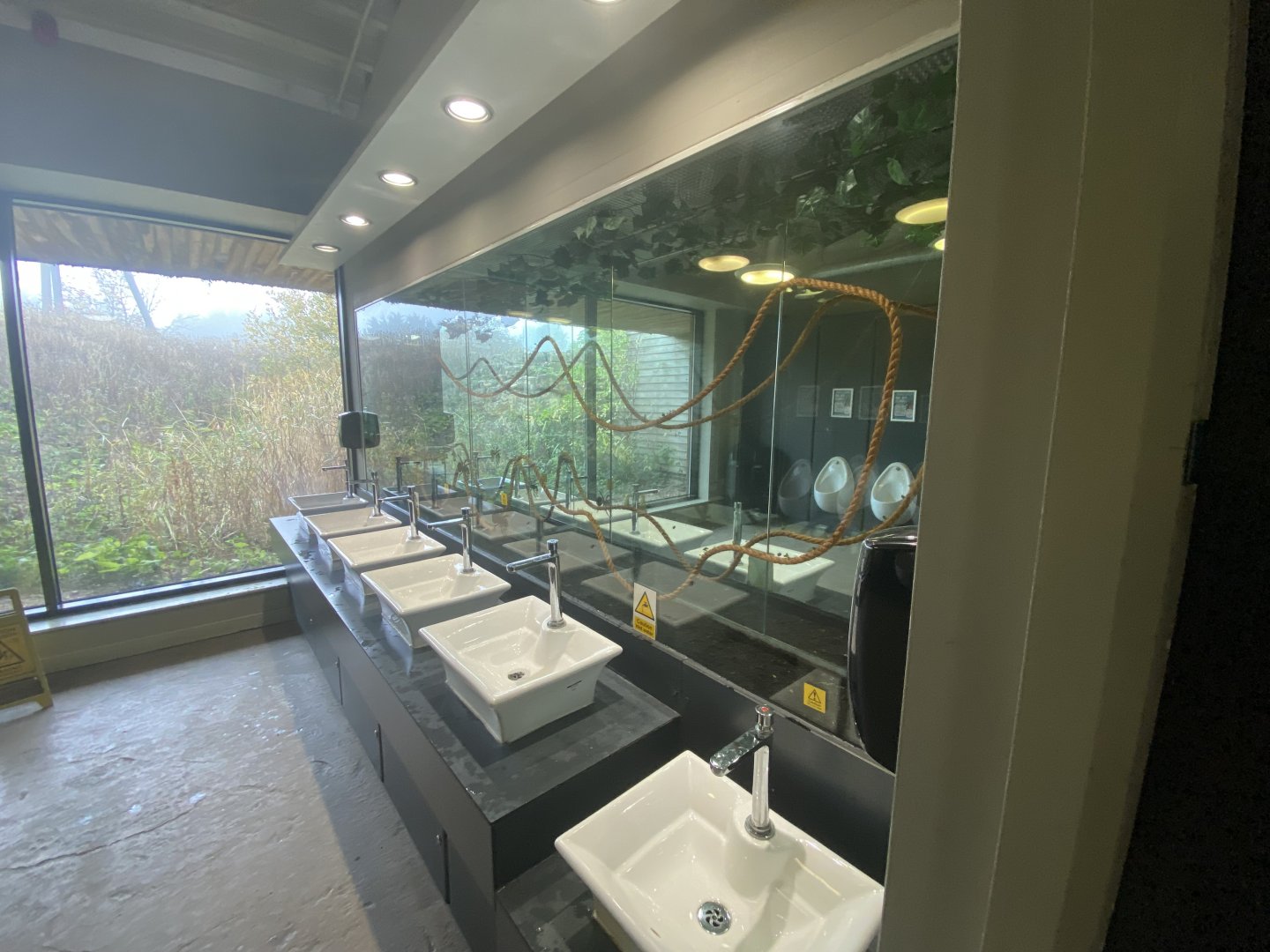 Leaf cutter ant exhibit