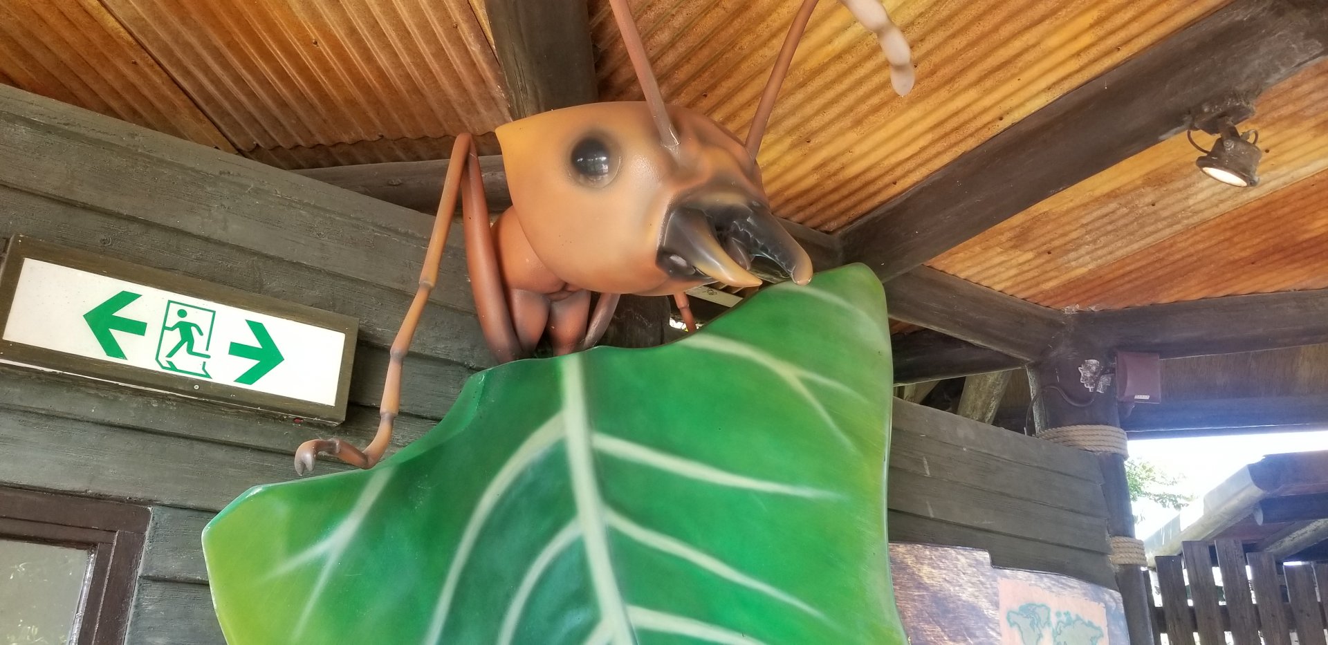 Leaf-Cutter Ant Sculpture