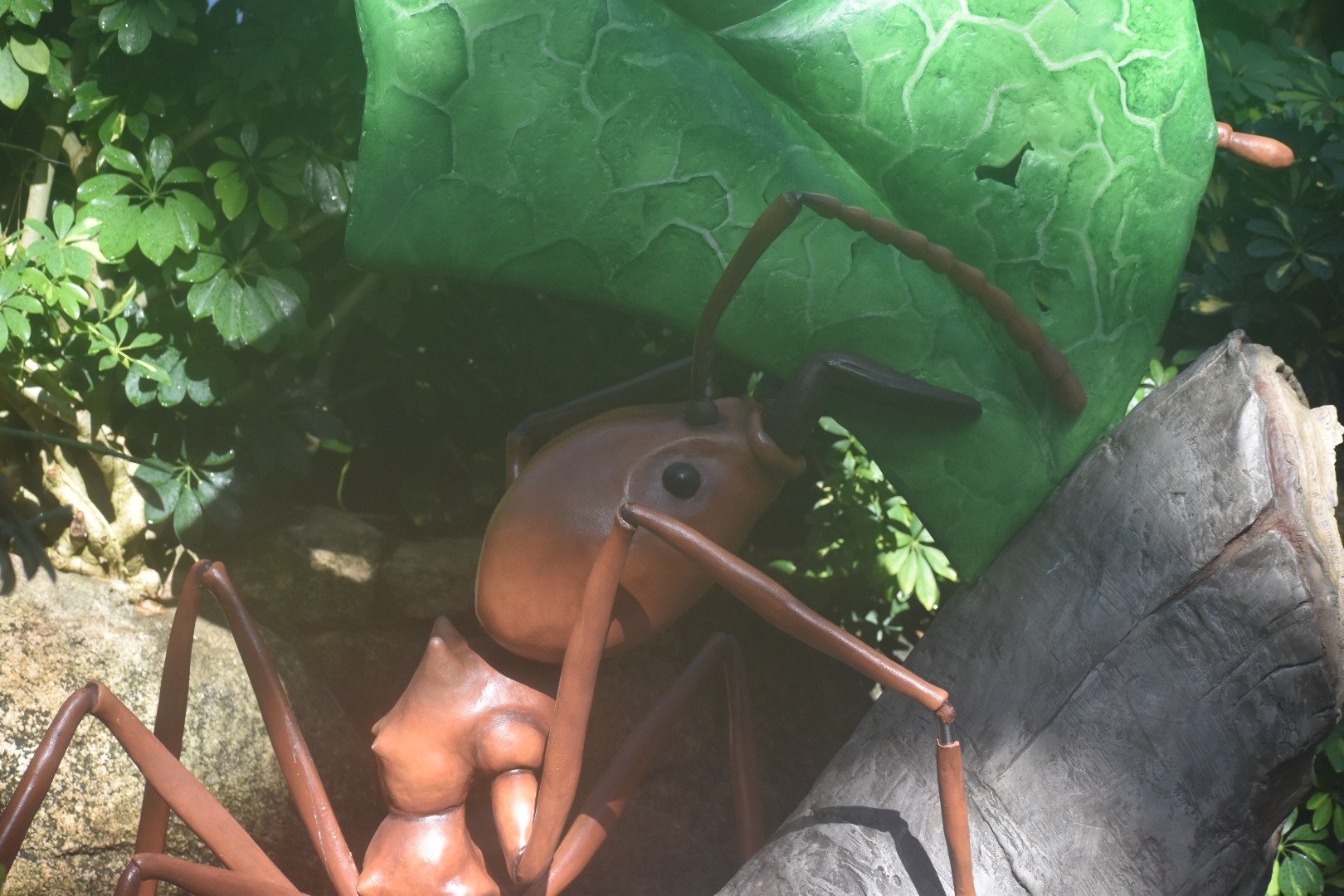 Leaf-cutter Ant Statue