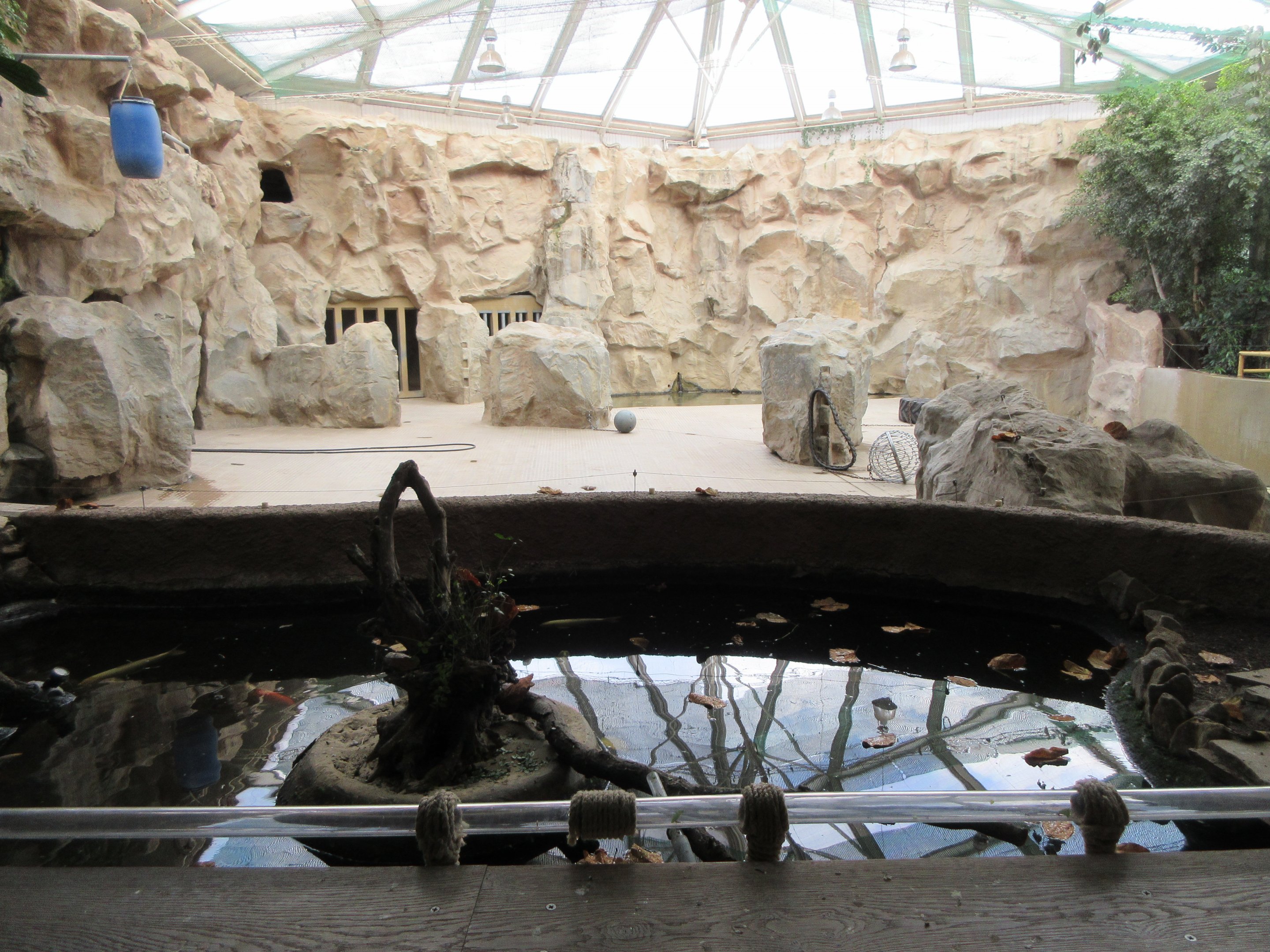 Leaf-cutter Ants + Fish Pool + Elephant House