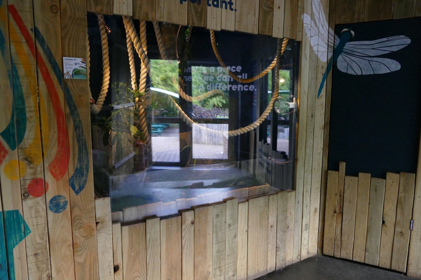 Leaf Cutter Ants, May 2022