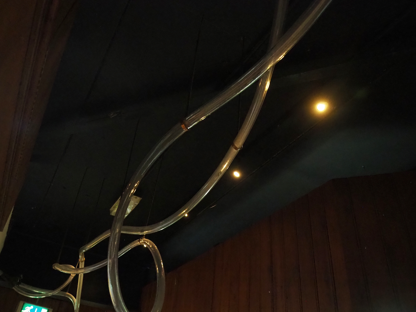 Leafcutter ant colony tubes (Exhibit goes throughout the building), 2023-09-24