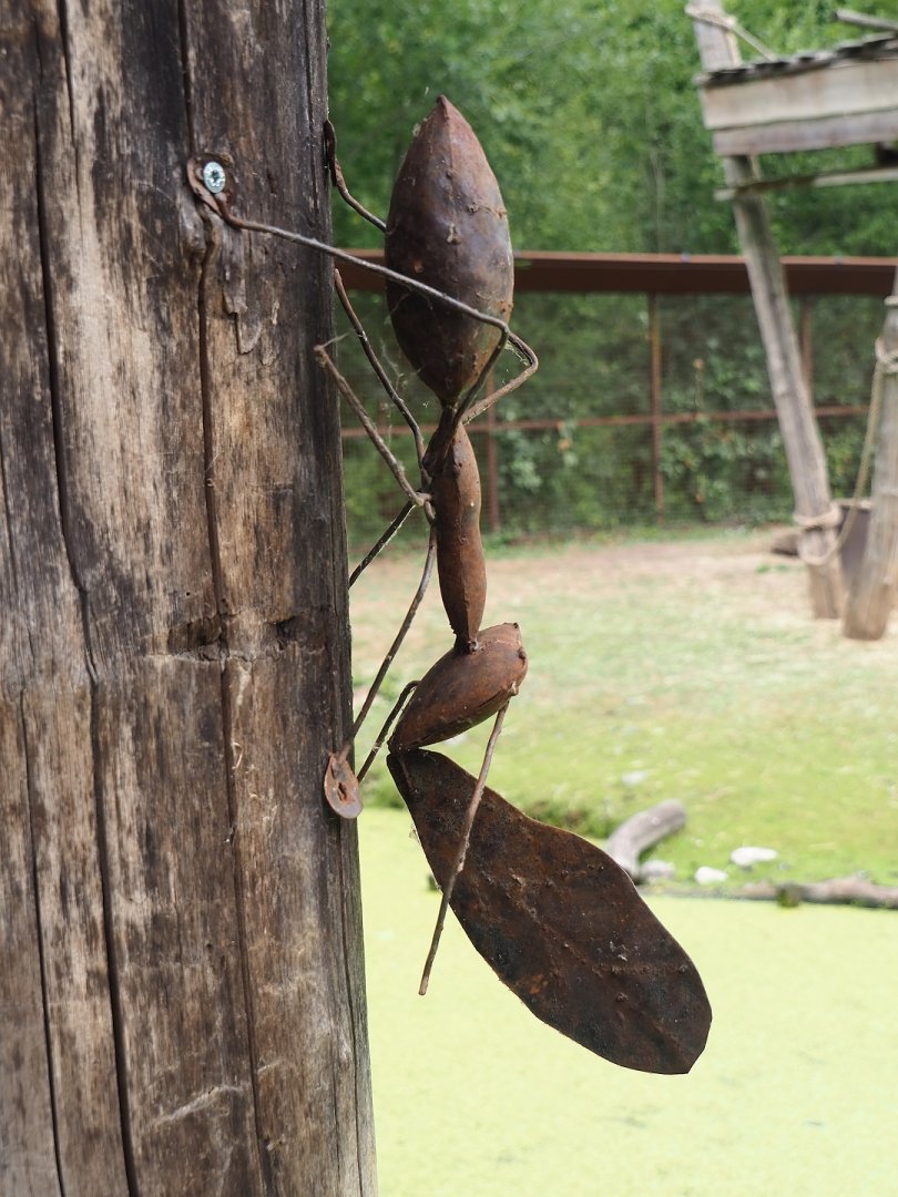 Leafcutter ant metal artwork, 2023-07-18
