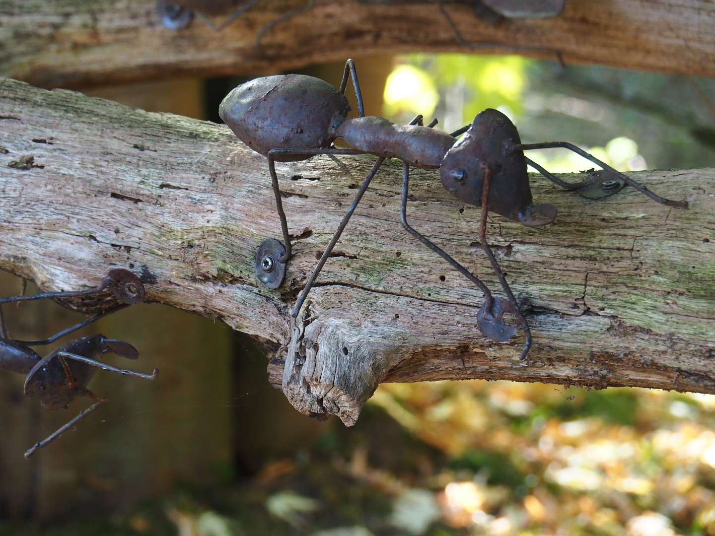 Leafcutter ant metal artwork (Oct 13th, 2018)