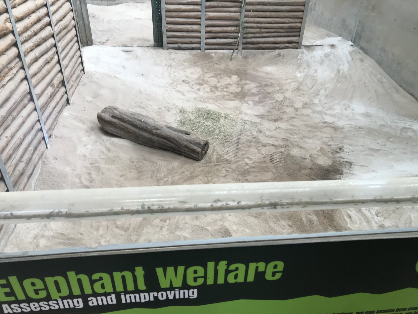 Leafcutter ants in African elephant indoors