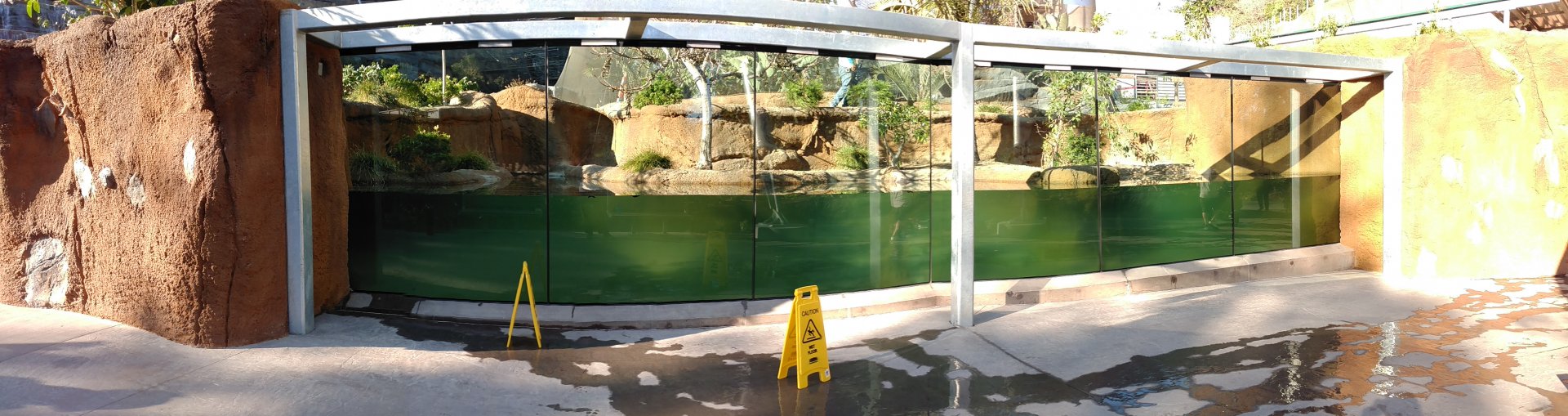 Leak at West African Forest