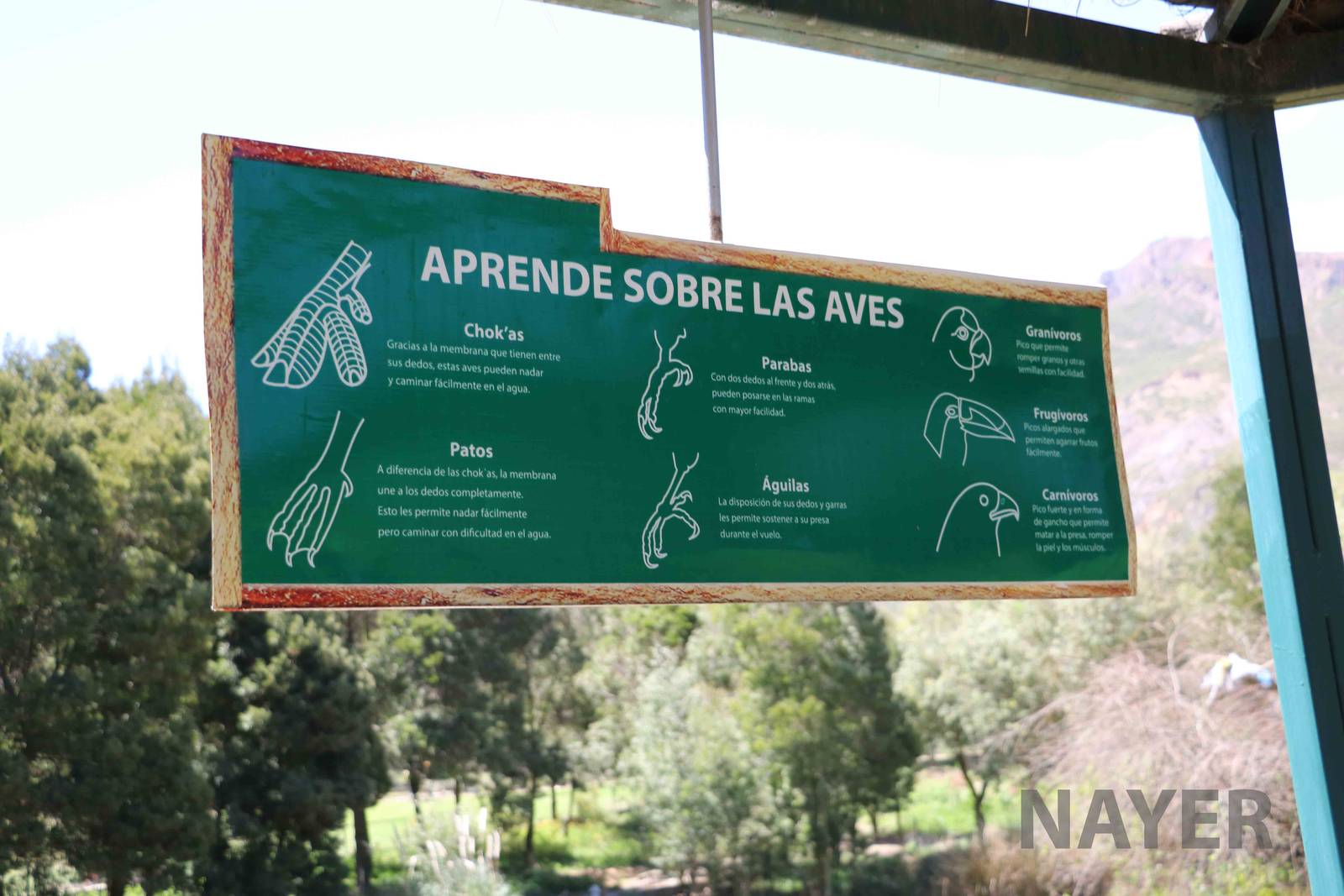 'Learn about birds', March 2016