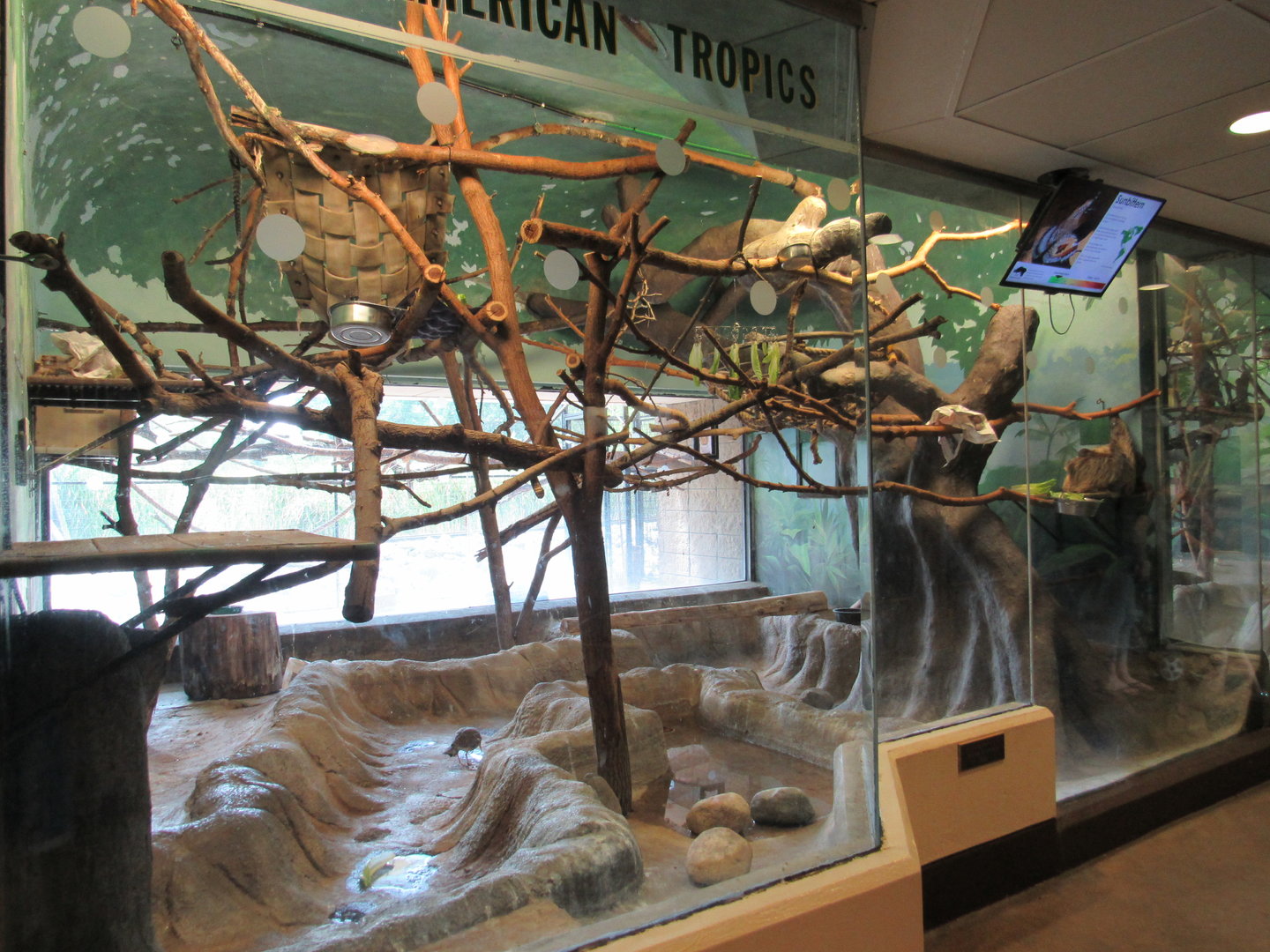 Learning Center - Common Marmoset, Sloth, and Sunbittern Exhibit