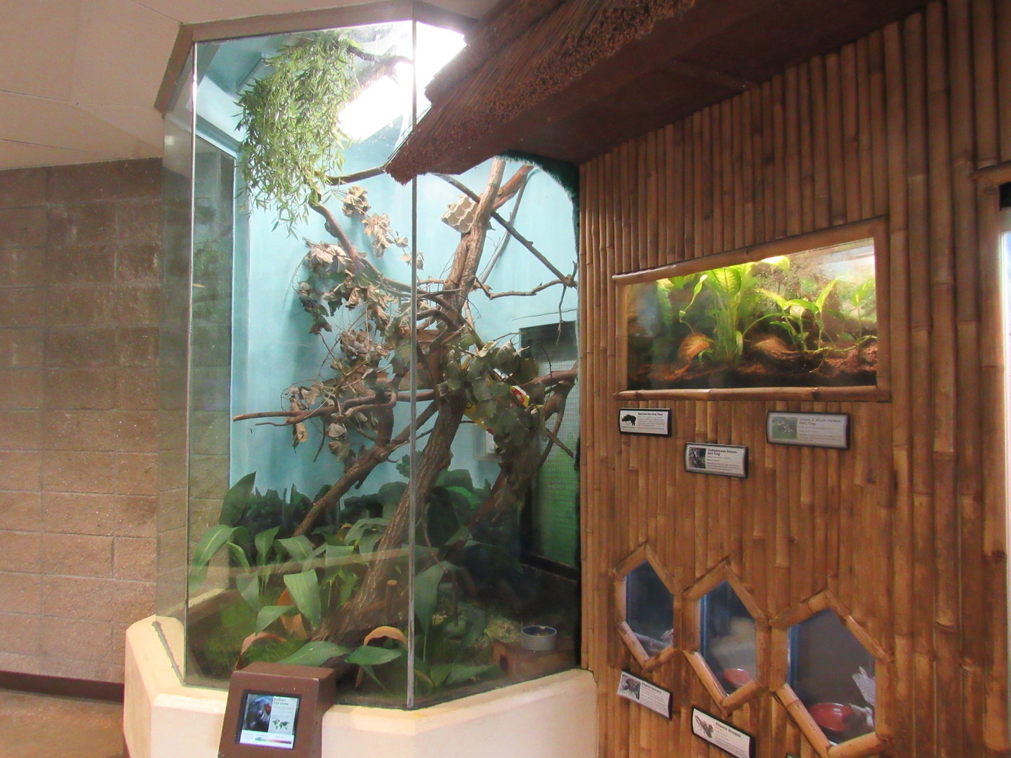Learning Center - Tree Shrew Exhibit