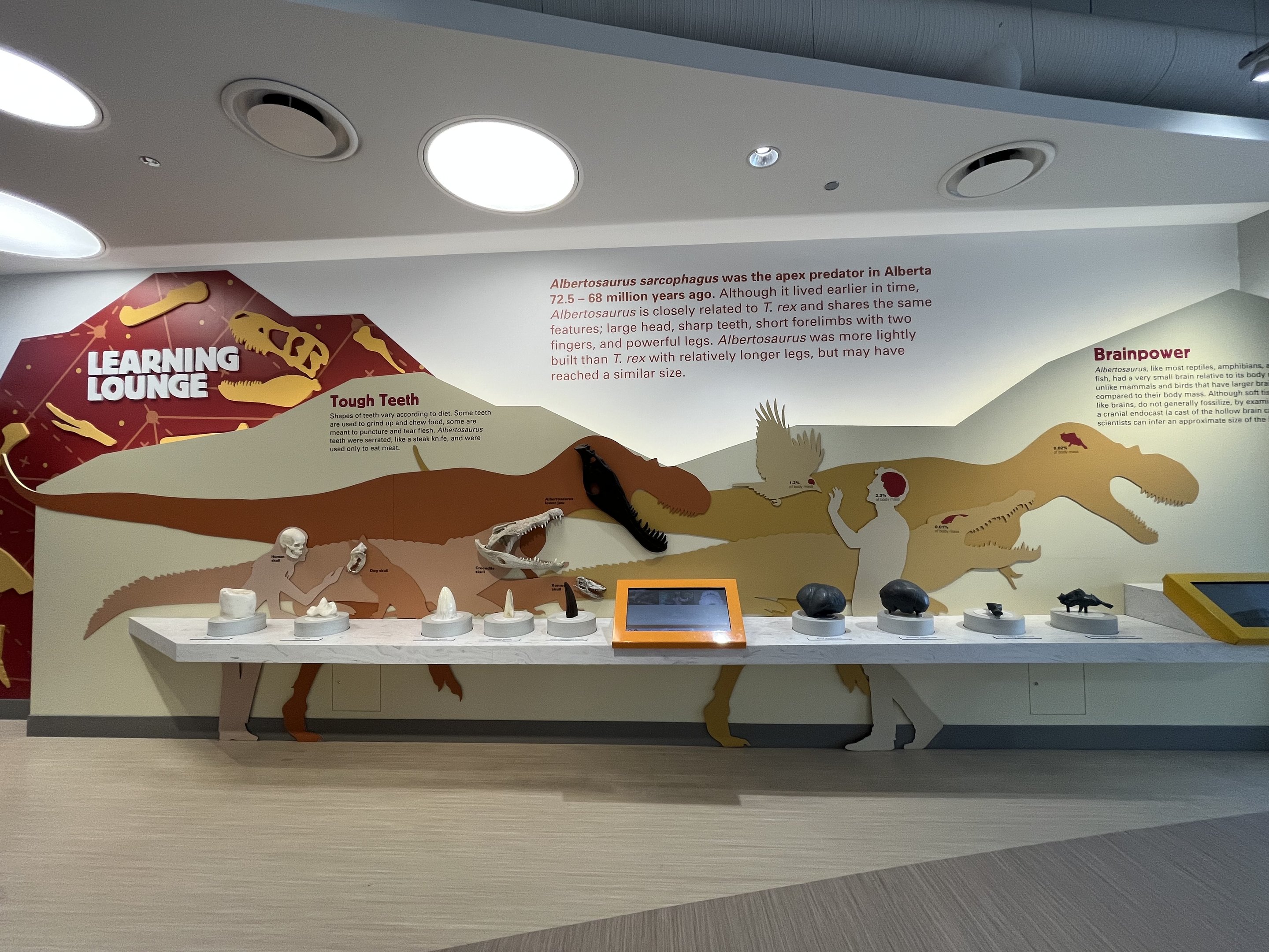 Learning Lounge - New in 2019