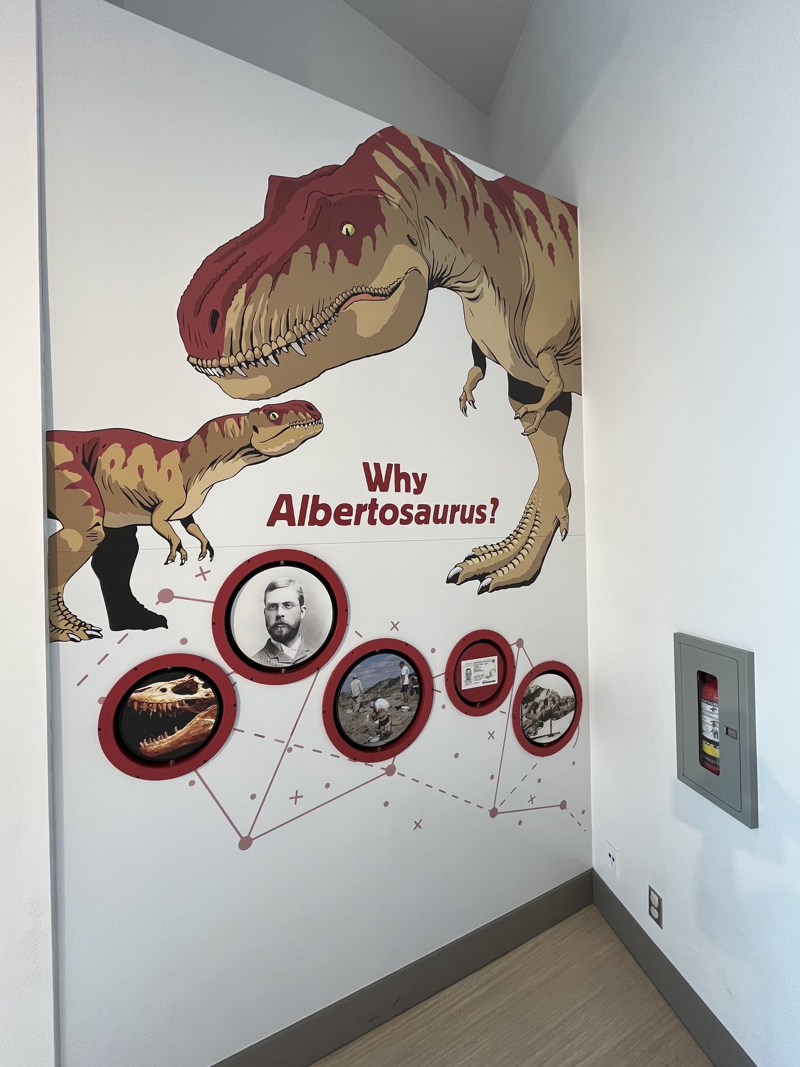 Learning Lounge - New in 2019