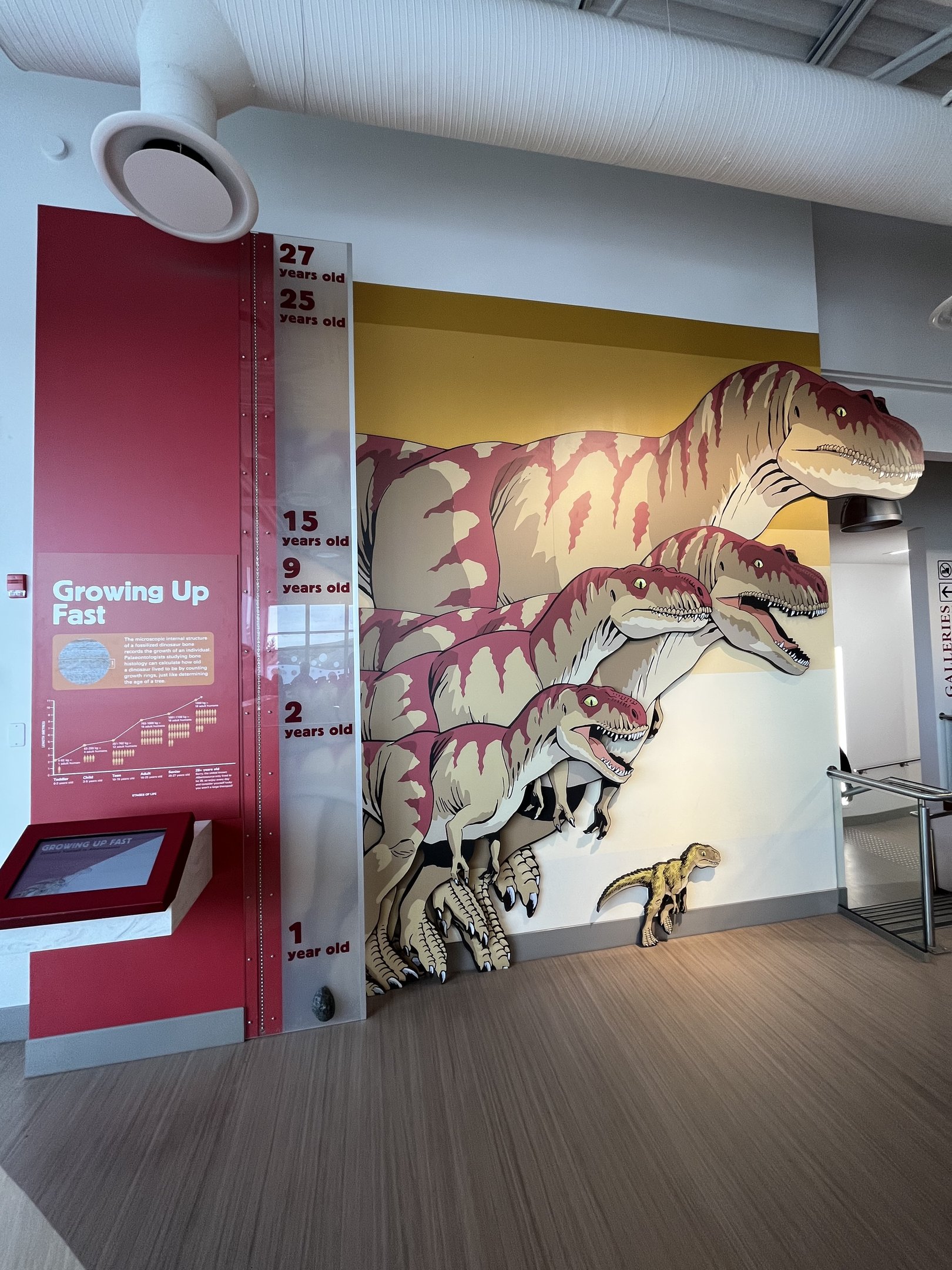 Learning Lounge - New in 2019