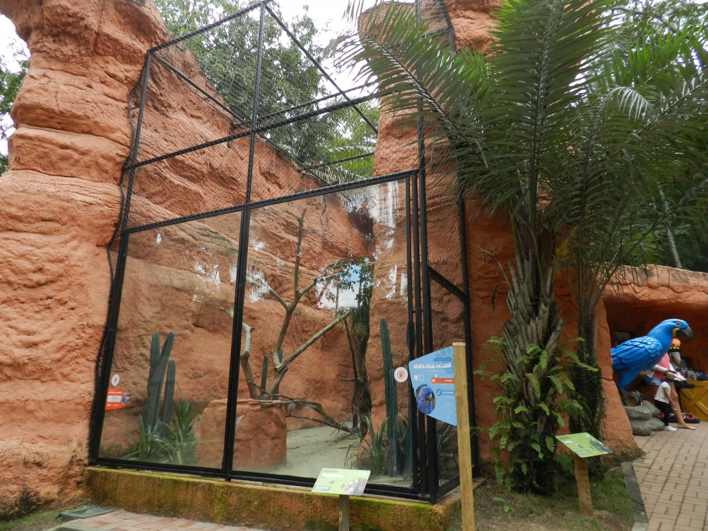 Lear's macaw exhibit - BioParque do Rio