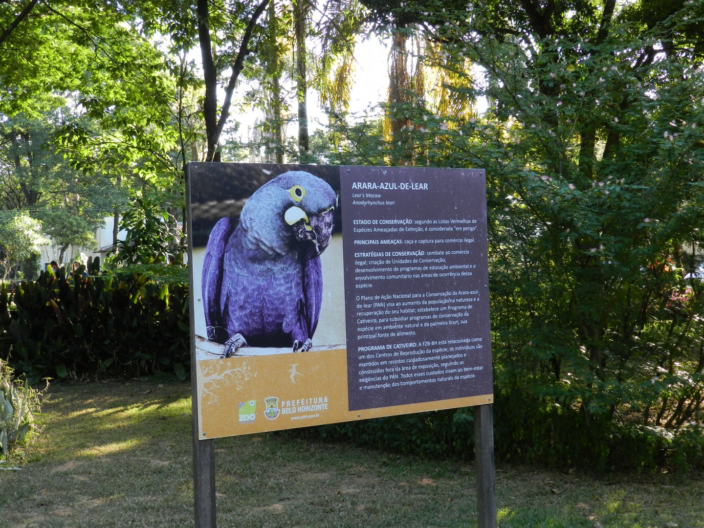 Lear's macaw signage - Belo Horizonte zoo