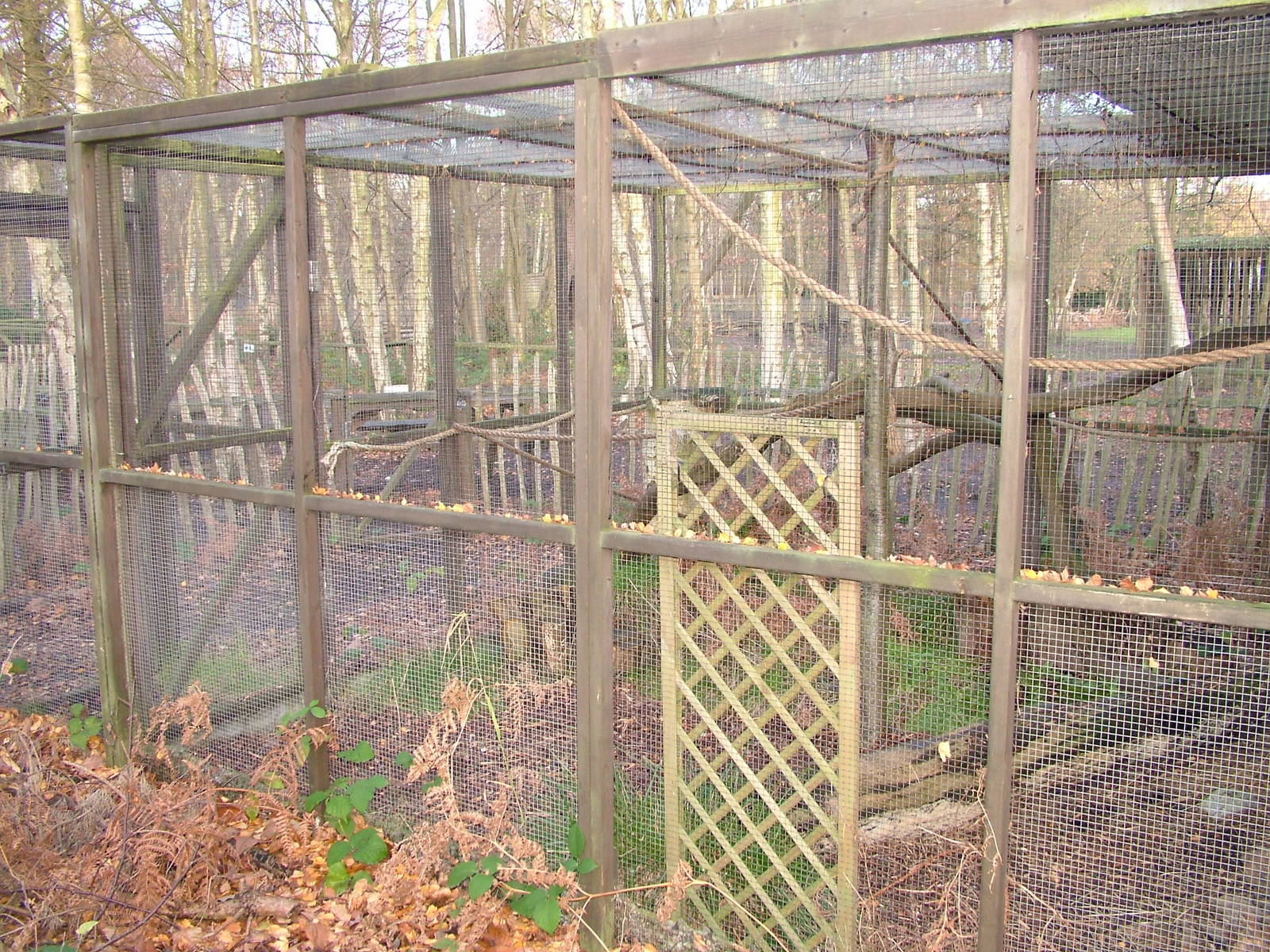 Least Weasel exhibit at Wildwood 28/11/09
