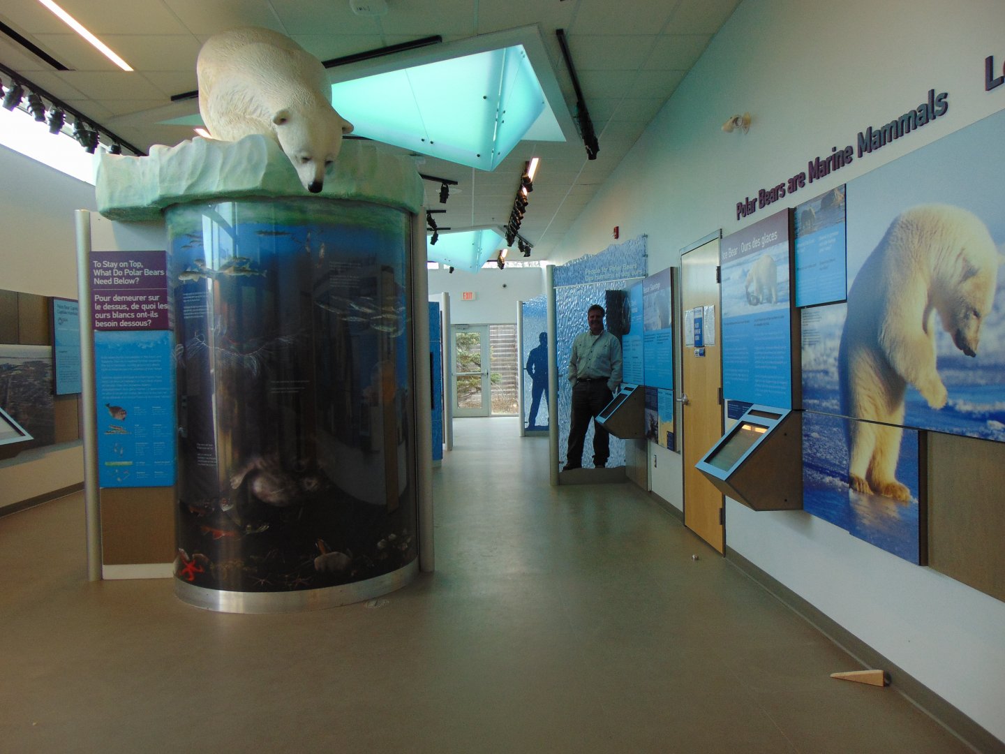 Leatherdale International Polar Bear Conservation Centre - Interactive Interpretive Centre