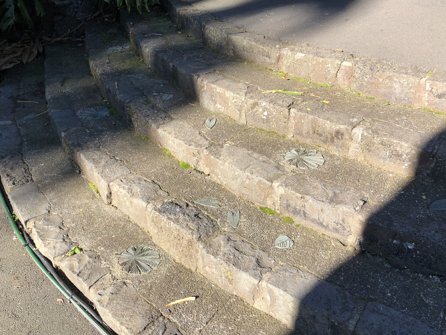 Leaves on the Rotunda stairs
