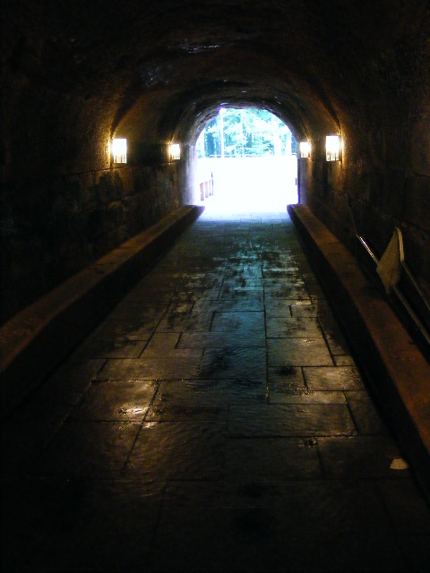 leaving the big cat house