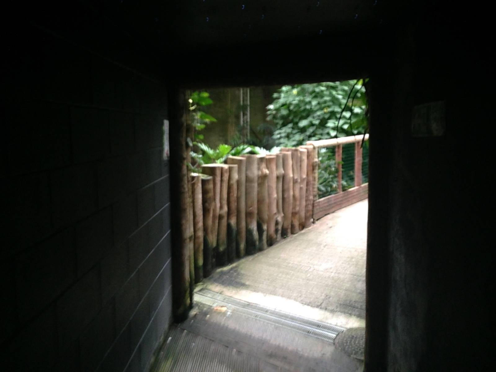 Leaving the Nocturnal Zone at Tropical World - 02/10/2013