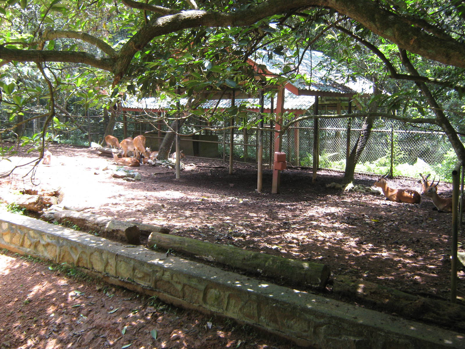 lechwe enclosure