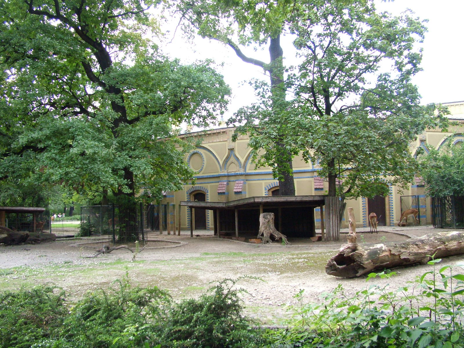 Lechwe Paddock at Berlin Zoo, 31/08/11