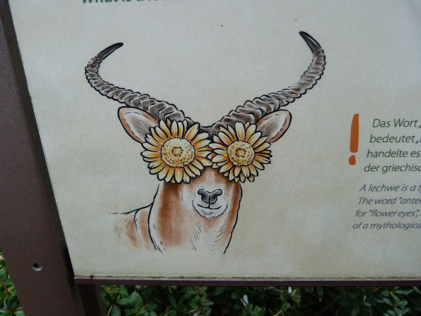 Lechwe sign art -Zoologischer Garten Berlin (2024)