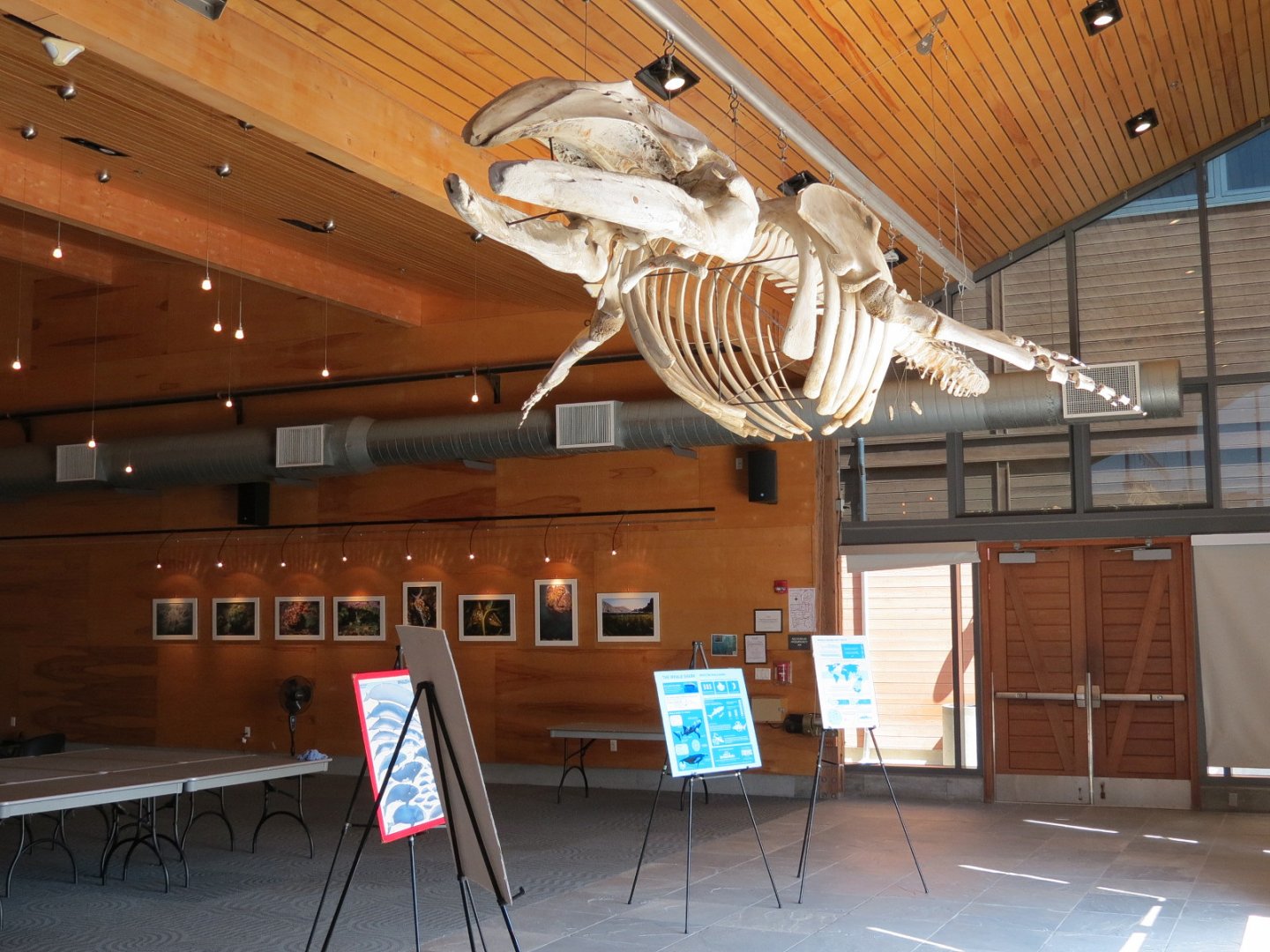 Lecture Hall and Conference Center - Interior