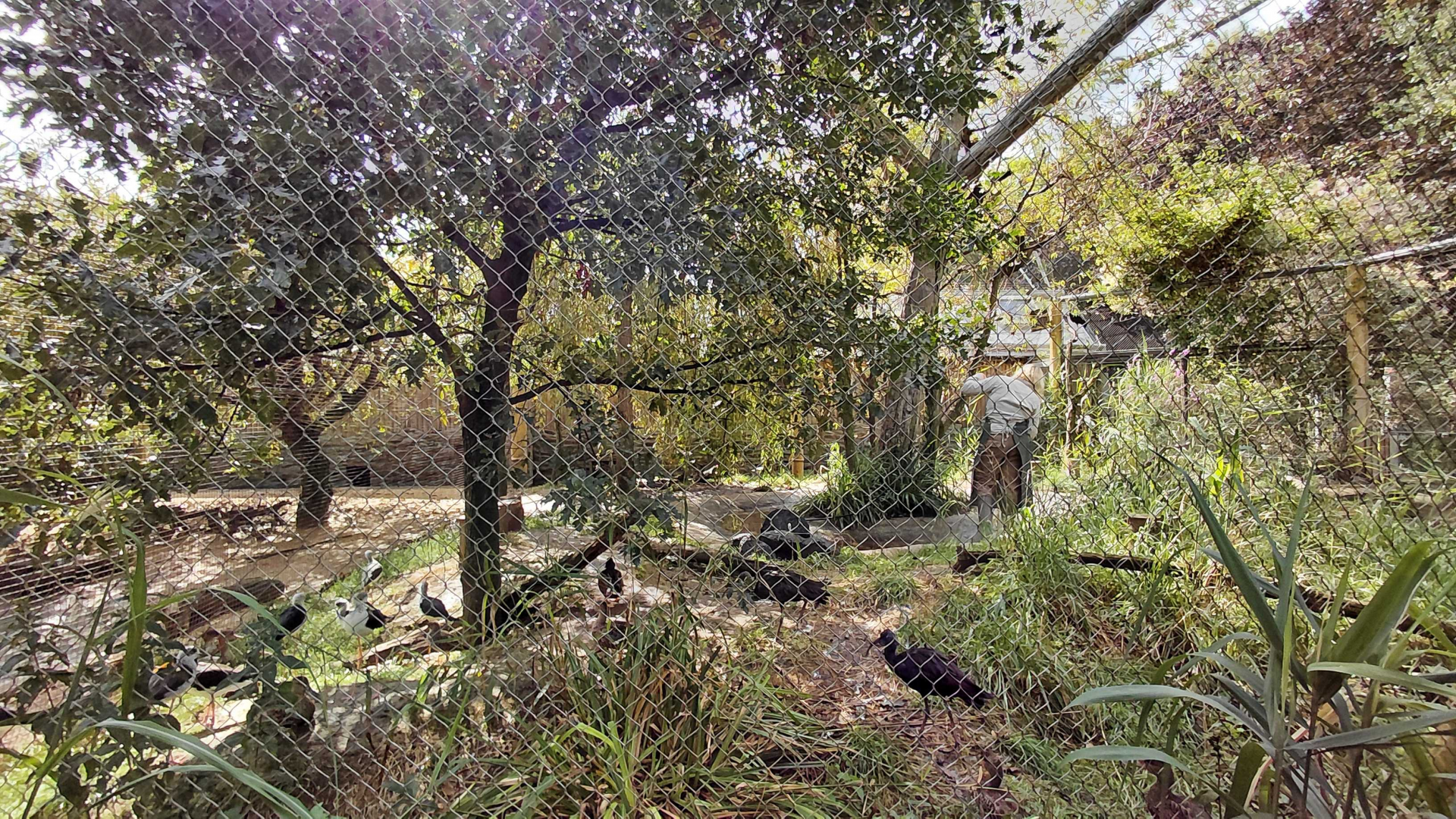 Lednice ponds aviary