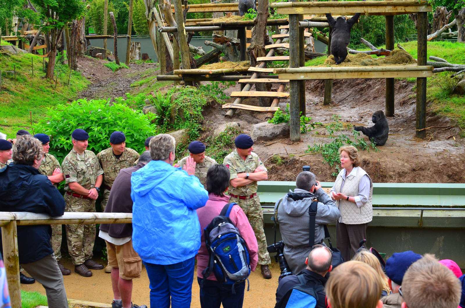 Lee Durrell introduces the new gorilla gym