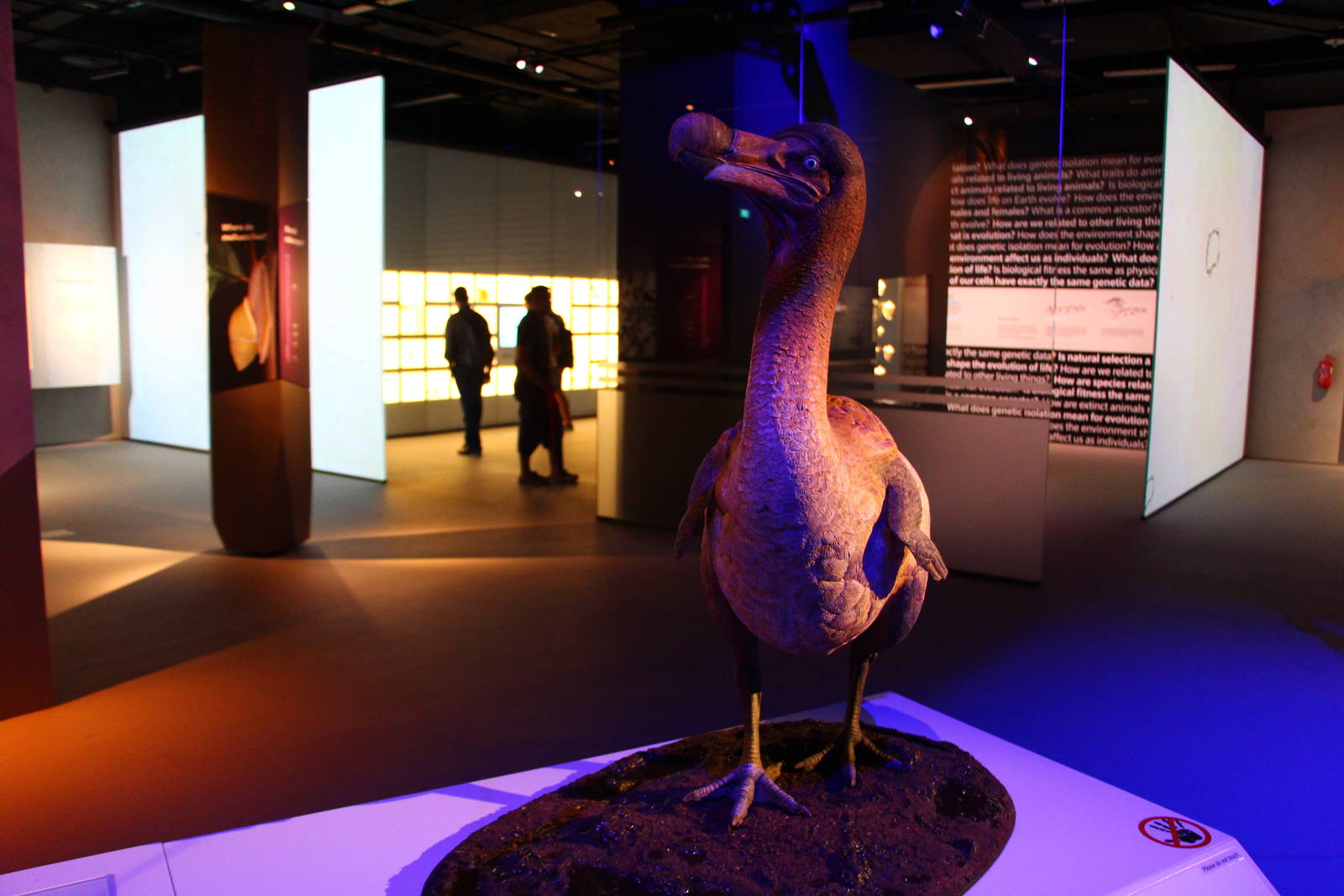 Lee Kong Chian Natural History Museum - Dodo
