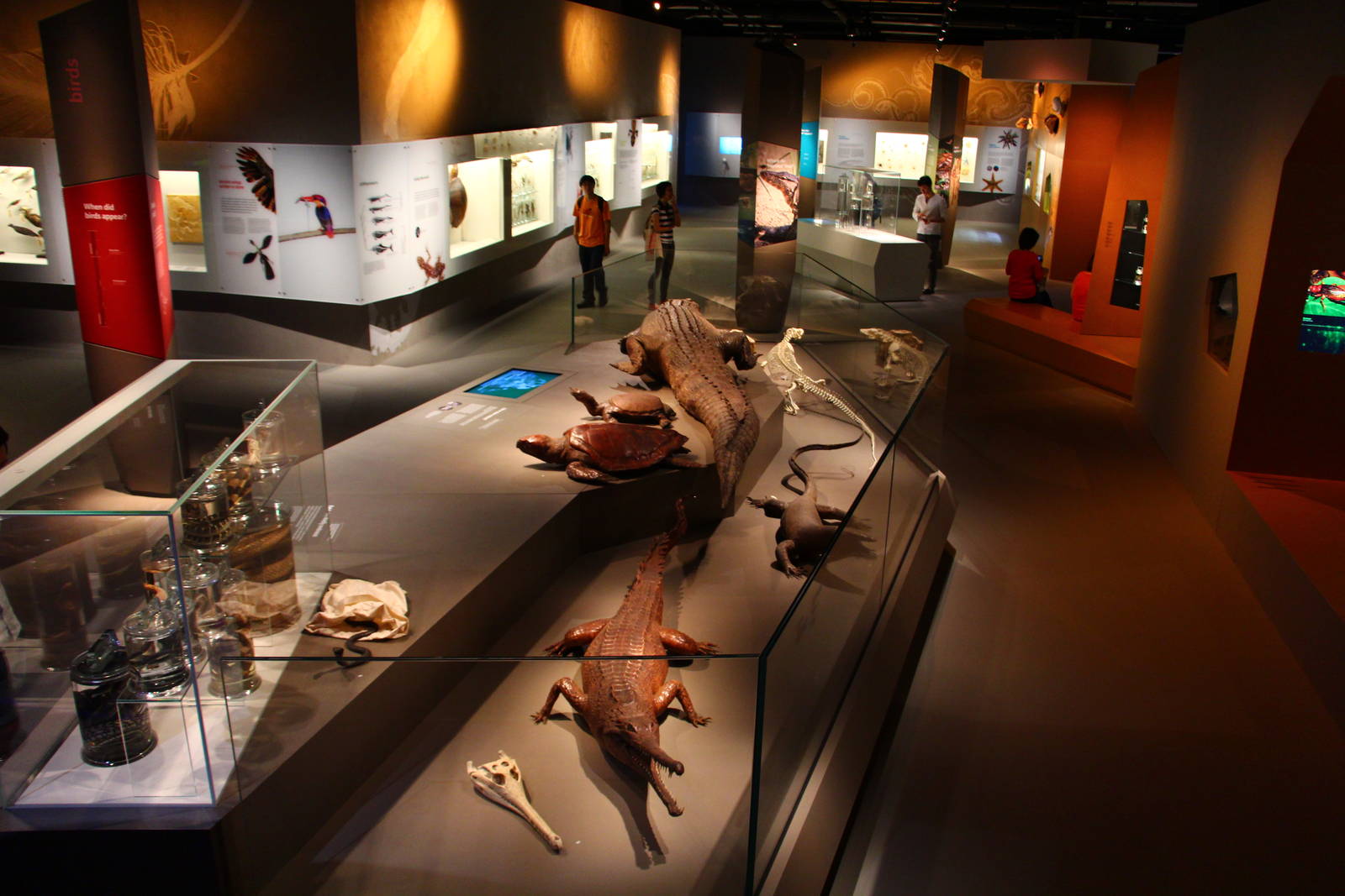 Lee Kong Chian Natural History Museum - Reptiles